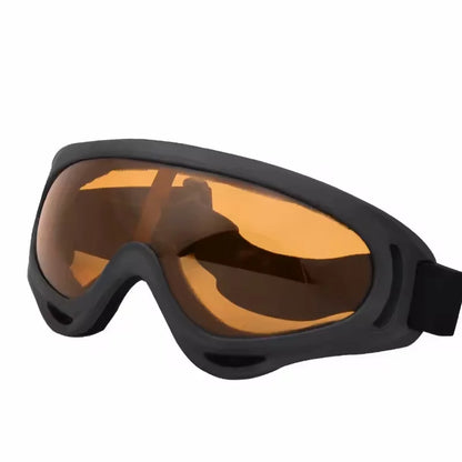Lunettes de ski