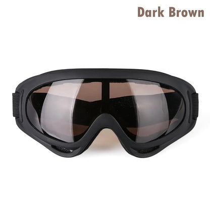 Lunettes de ski